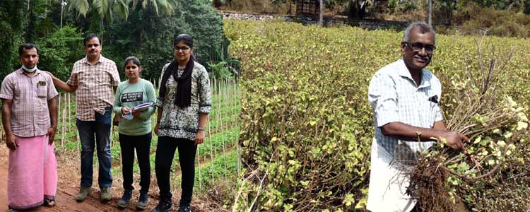 Medicinal plants - On call Help centre and Farmer's library  An SMPB, Kerala initiative